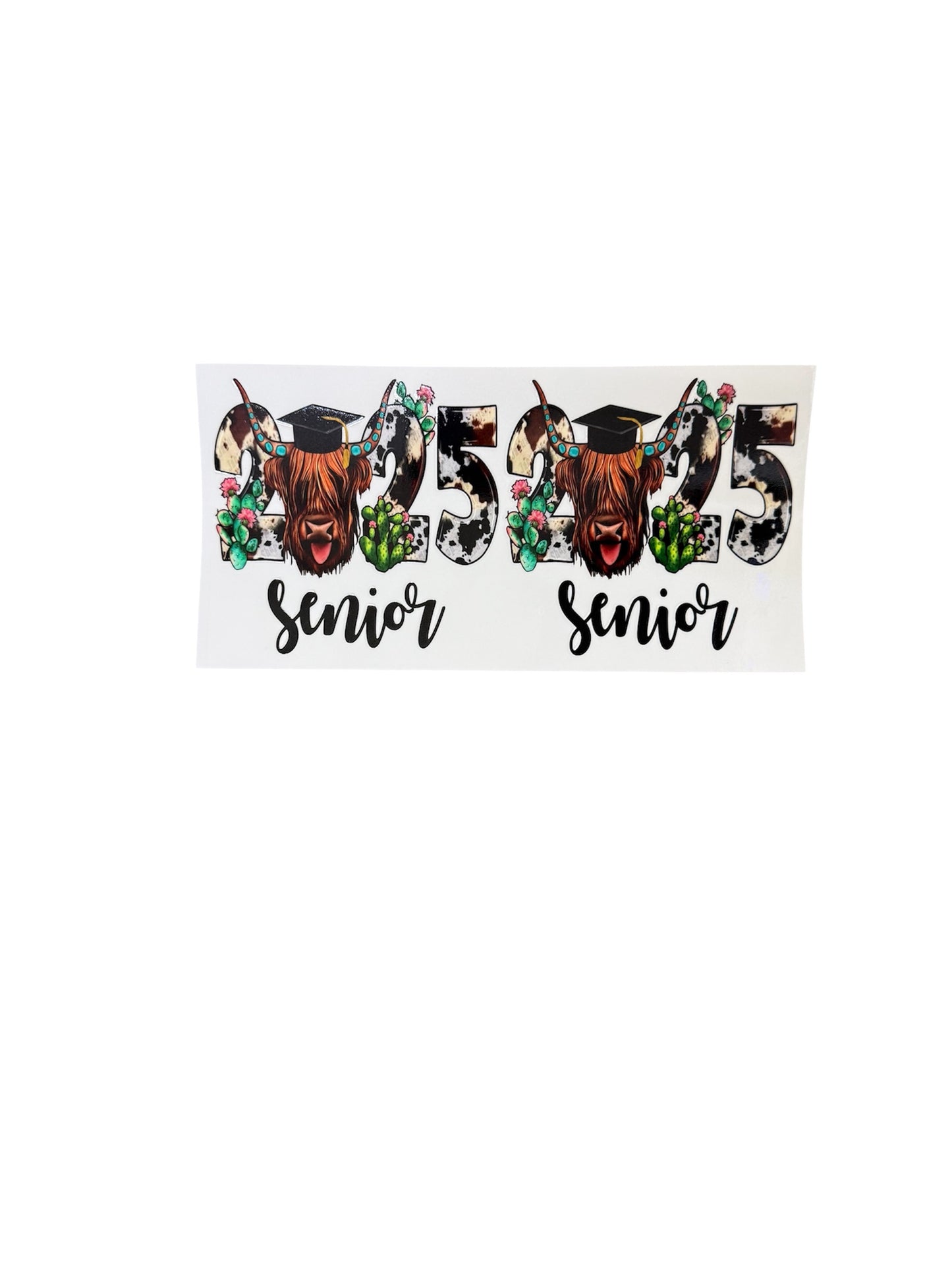 Senior 2025 cow double Cup Transfer