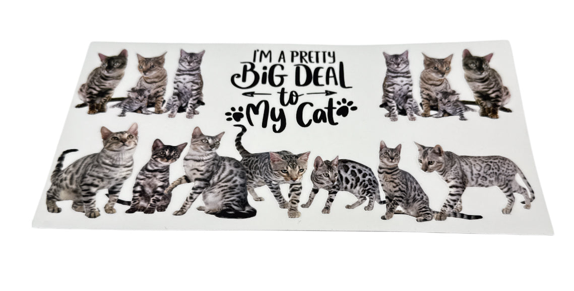 Big deal to my cat Cup Transfer