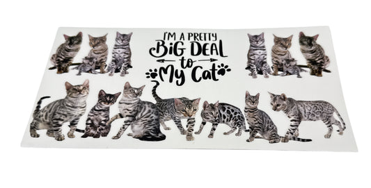 Big deal to my cat Cup Transfer