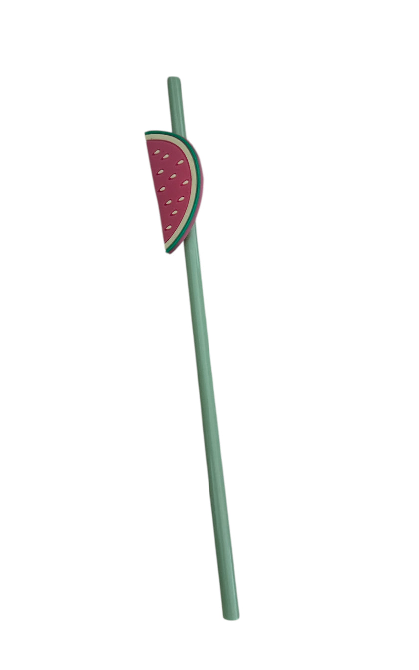 Watermelon charm with Reusable Plastic Straw
