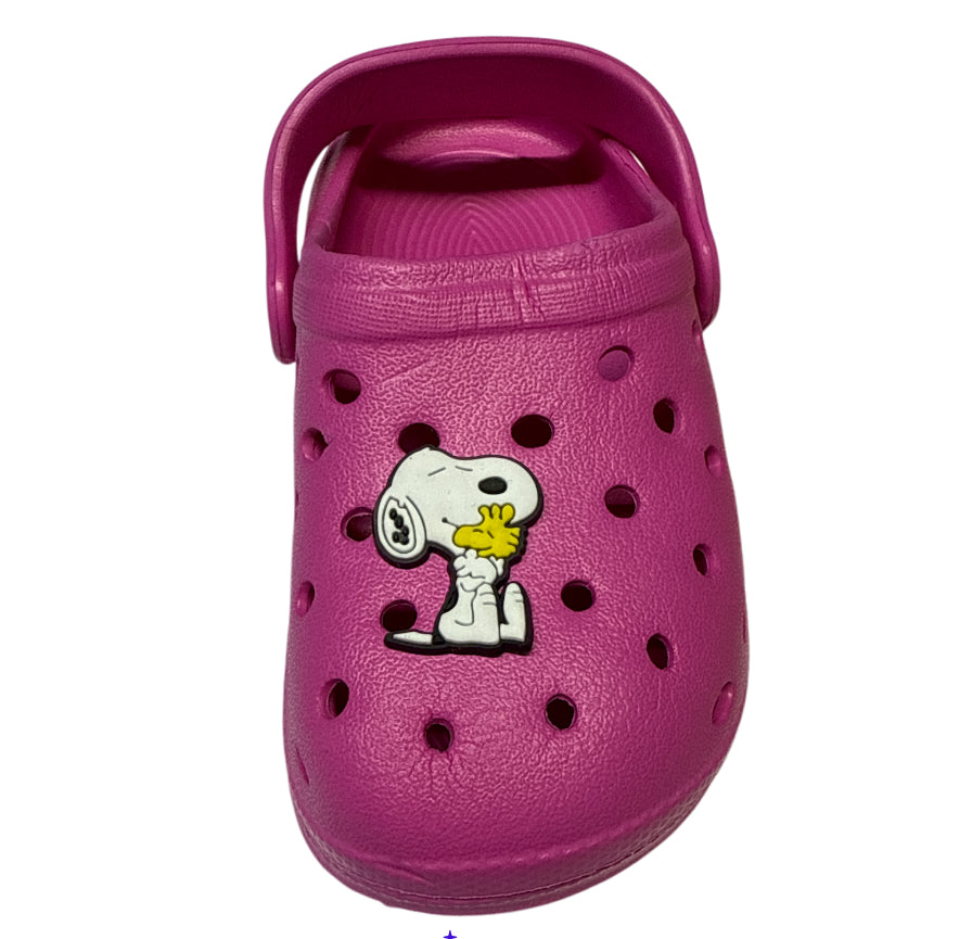 Snoopy & peanut Shoe Charm