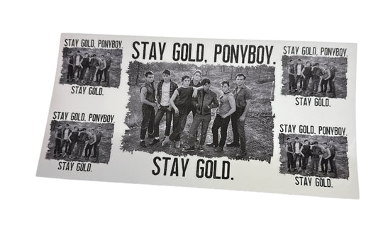 Stay gold ponyboy 5 Cup Transfer
