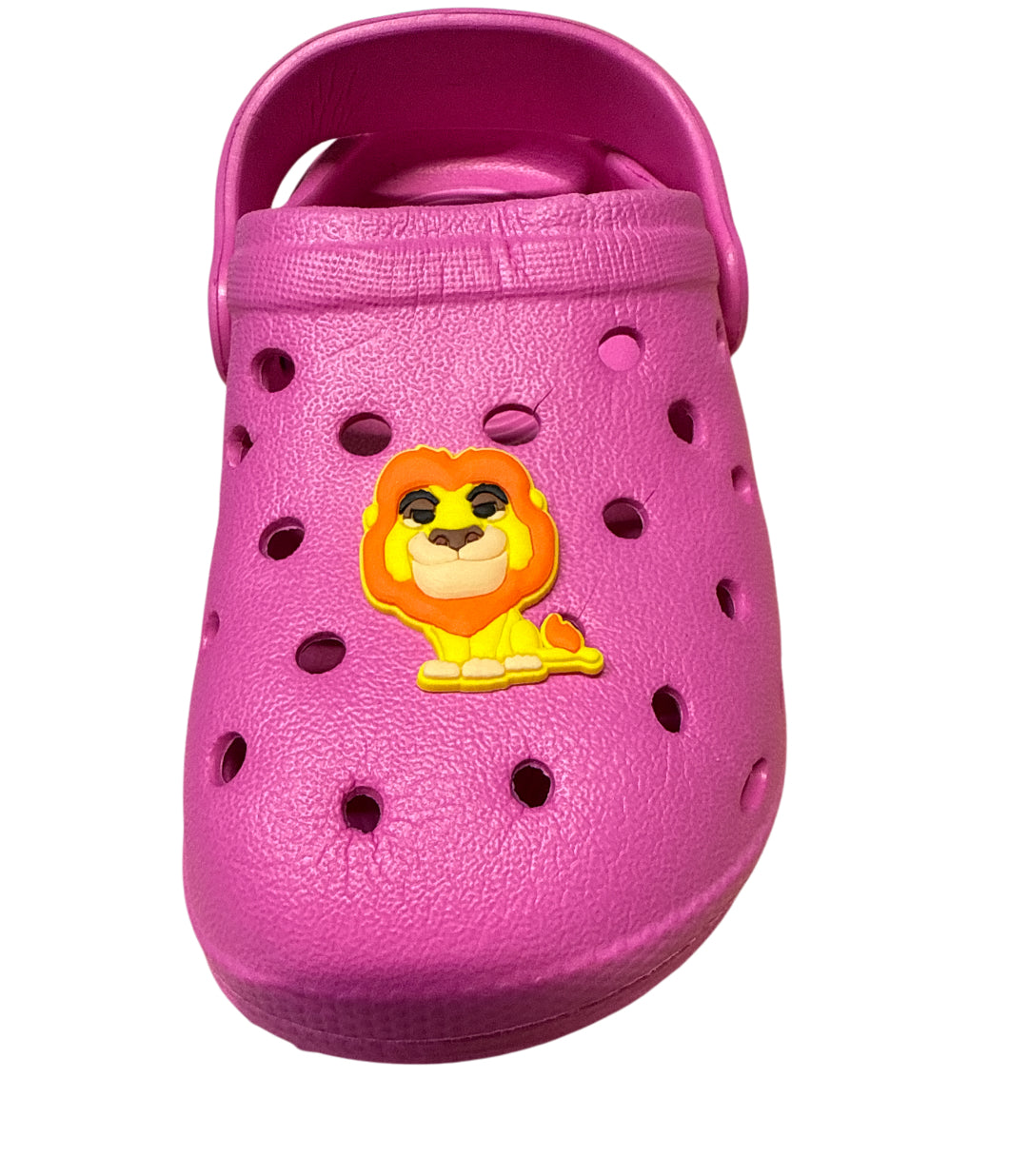 Lion king Shoe Charm