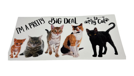 Cats different ones Cup Transfer