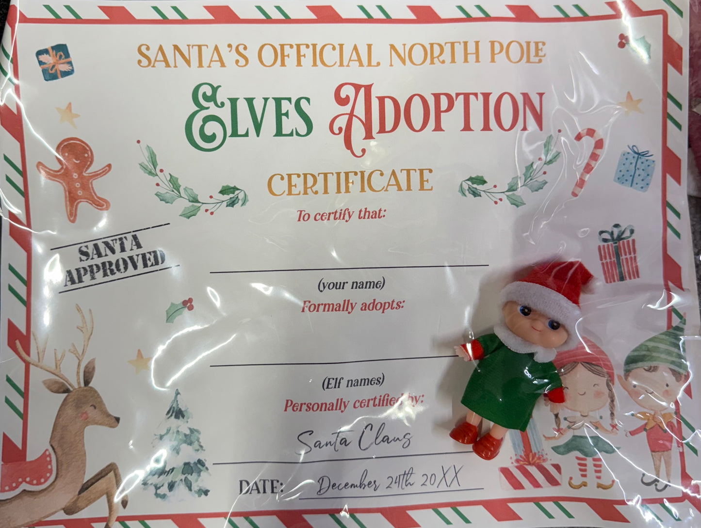Green Baby Elf with Birth Certificate