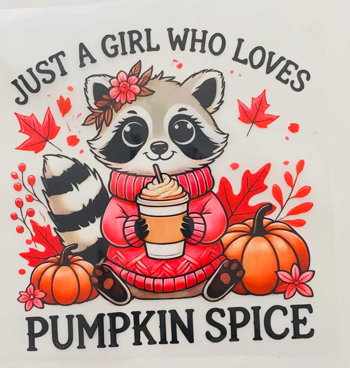 Raccoon pumpkin spice DTF Heat Transfer