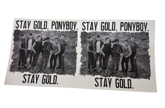 Stay gold ponyboy double Cup Transfer