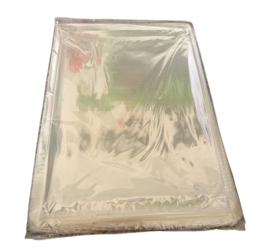 Clear poly bags 9x12