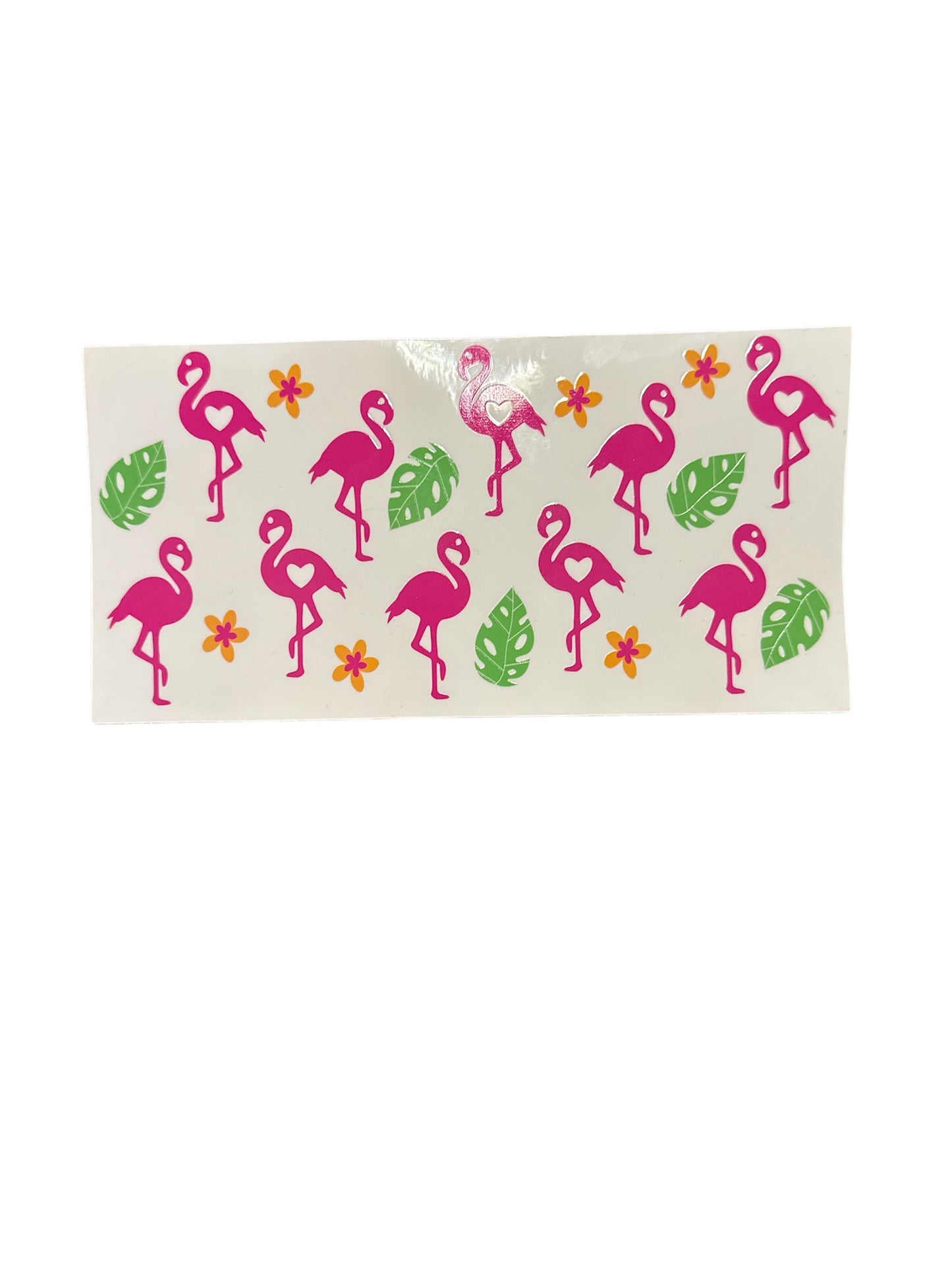 Flamingo Cup Transfer