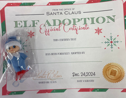 Blue Baby Elf with Birth Certificate