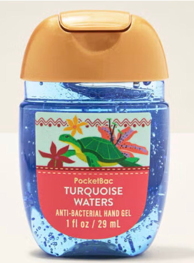 hand sanitizer  bath & body works