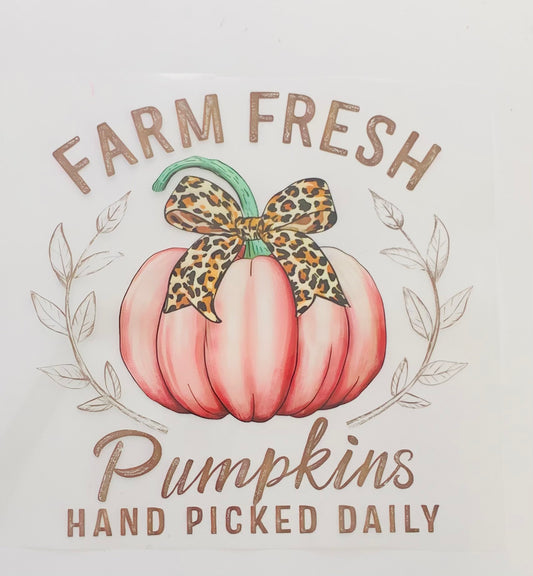 Farm fresh pumpkin DTF Heat Transfer