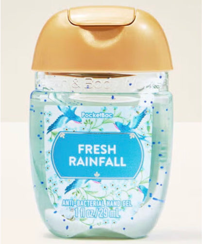 hand sanitizer  bath & body works