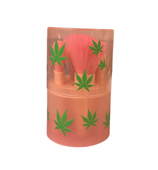 Light pink 420 makeup brushes with case
