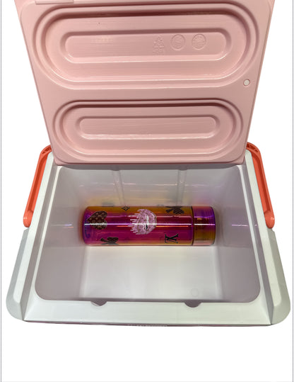 Lv Cooler and cup set