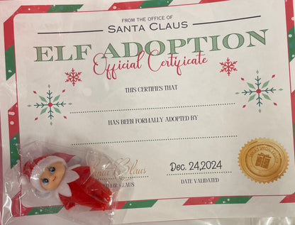 Red Baby Elf with Birth Certificate