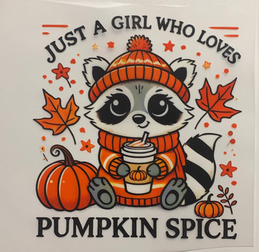 Raccoon pumpkin spice DTF Heat Transfer